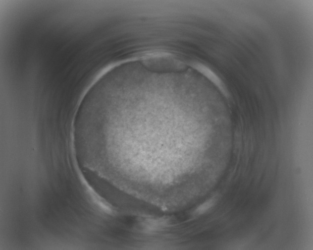 X0000081311047200702082105