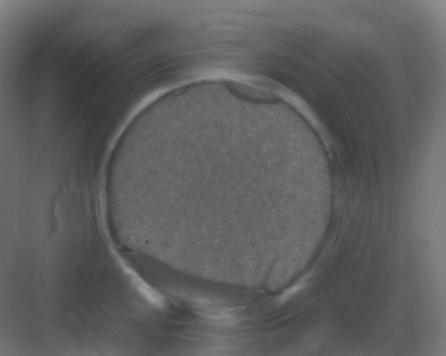 X0000081311048200702082105