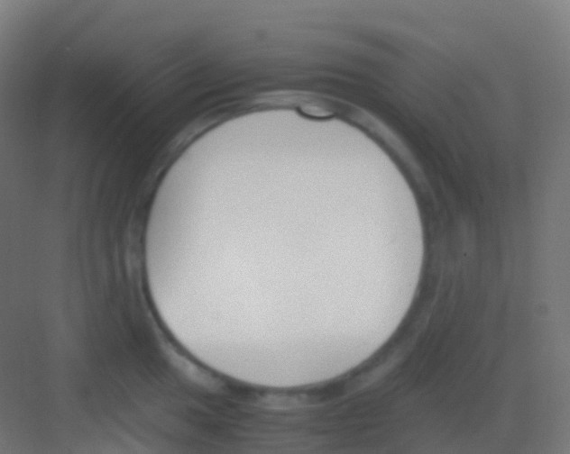 X0000081311049200702082105