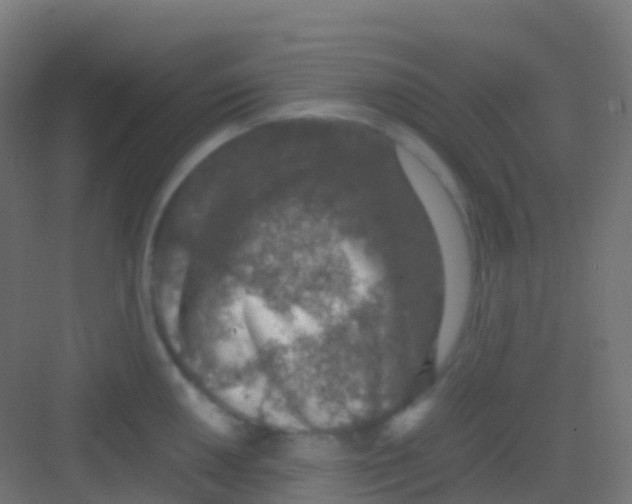 X0000081311050200702082105