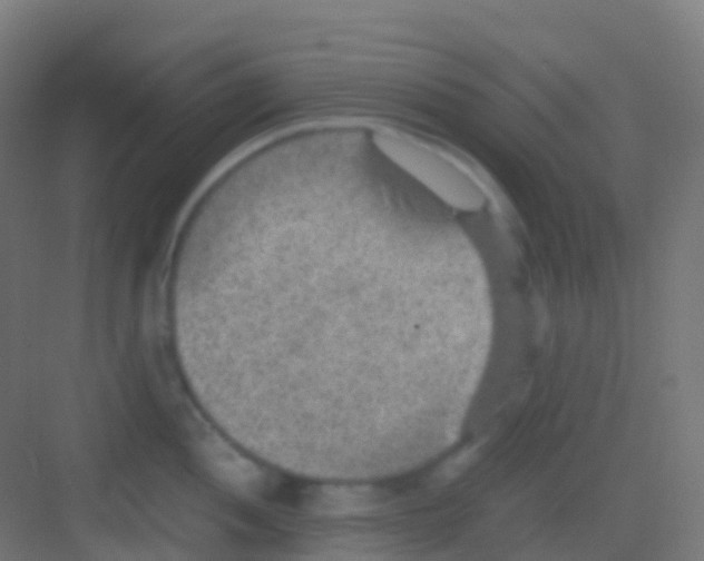 X0000081311052200702082105