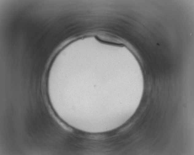 X0000081311053200702082105