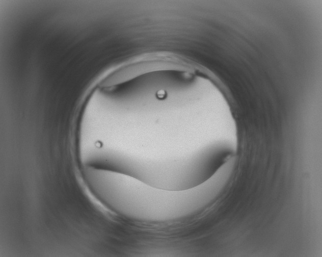 X0000081311054200702082105