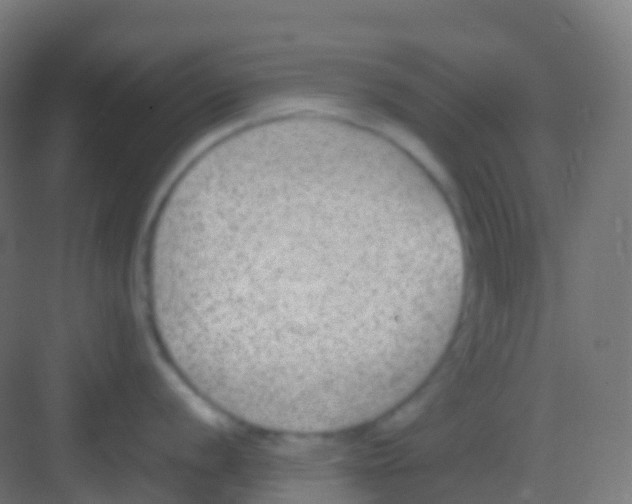 X0000081311056200702082105