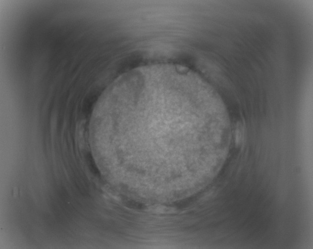 X0000081311059200702082104