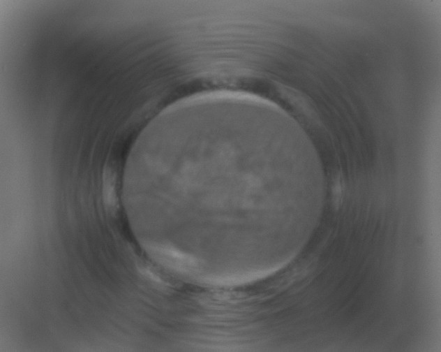 X0000081311060200702082104