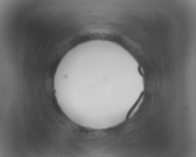 X0000081311061200702082104