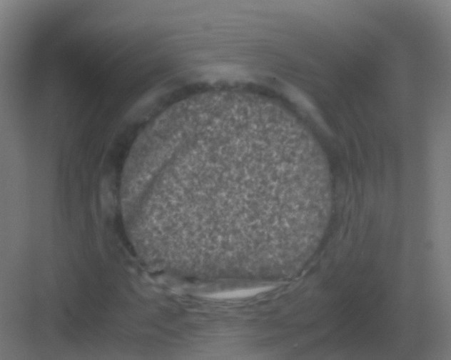 X0000081311063200702082104