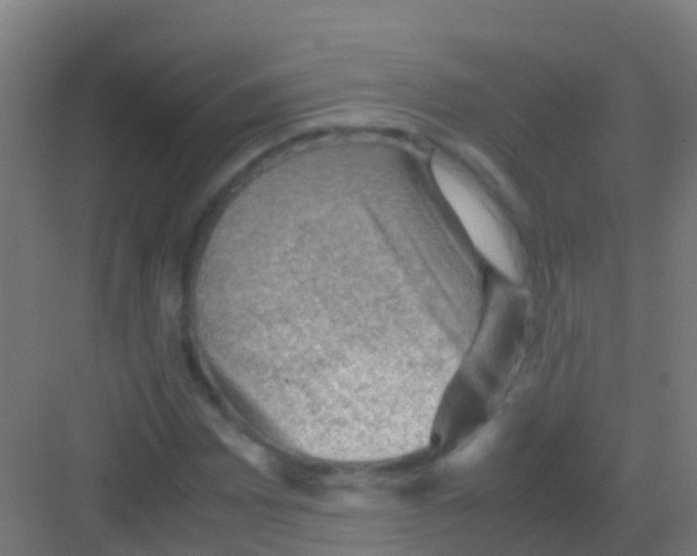 X0000081311065200702082104