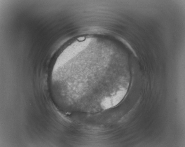 X0000081311066200702082104