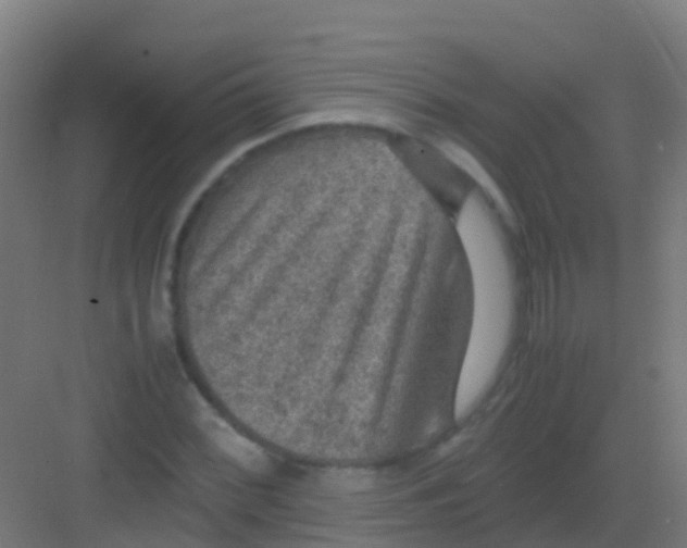 X0000081311068200702082104