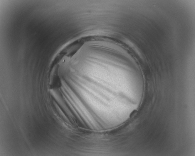 X0000081311069200702082104