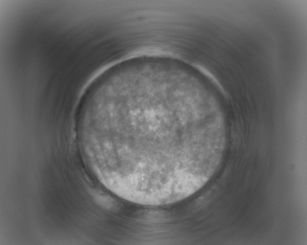 X0000081311070200702082104