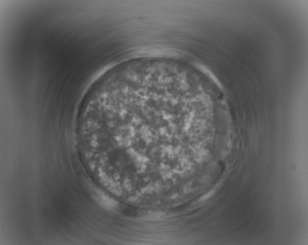 X0000081311071200702082104