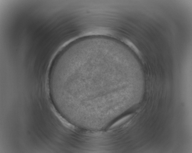 X0000081311072200702082104