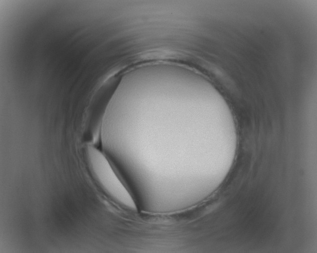 X0000081311073200702082104