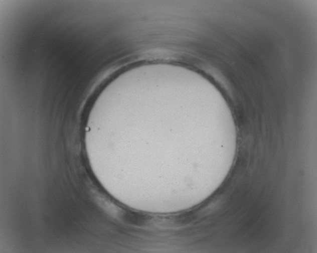 X0000081311075200702082104