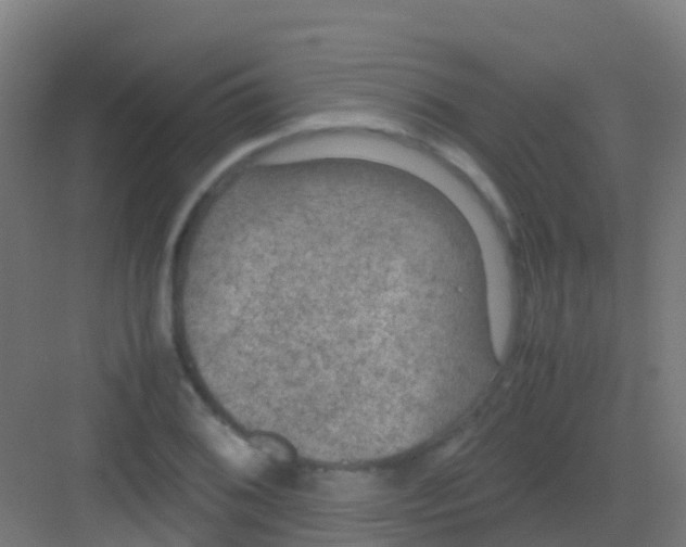 X0000081311076200702082104