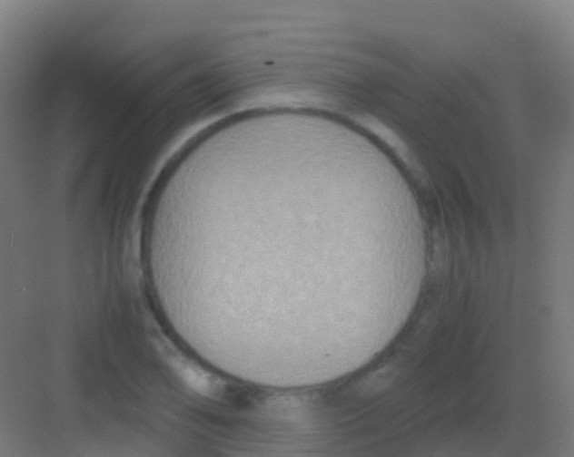 X0000081311078200702082104