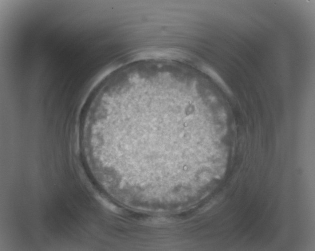 X0000081311079200702082104