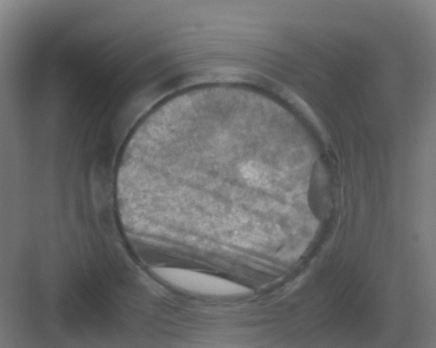 X0000081311081200702082104