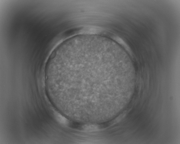 X0000081311083200702082104