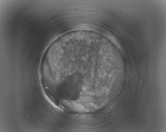 X0000081311084200702082104