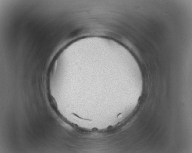 X0000081311085200702082104