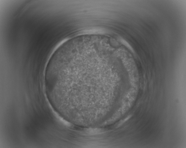 X0000081311087200702082104