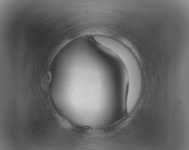 X0000081311089200702082104