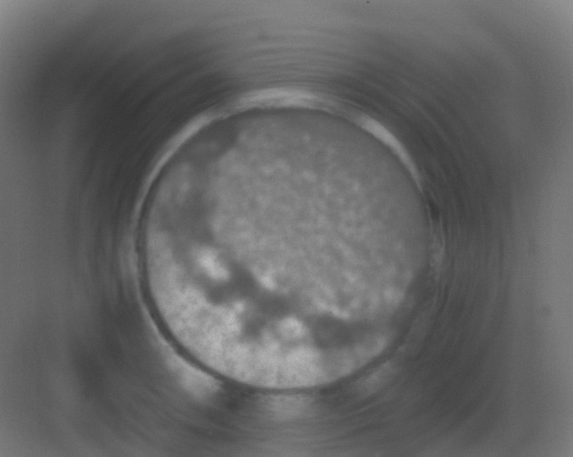 X0000081311090200702082104