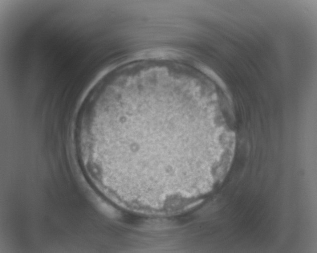 X0000081311091200702082104