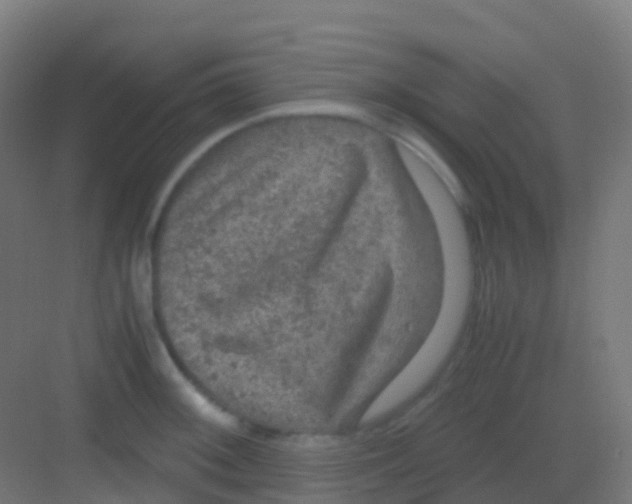 X0000081311092200702082104