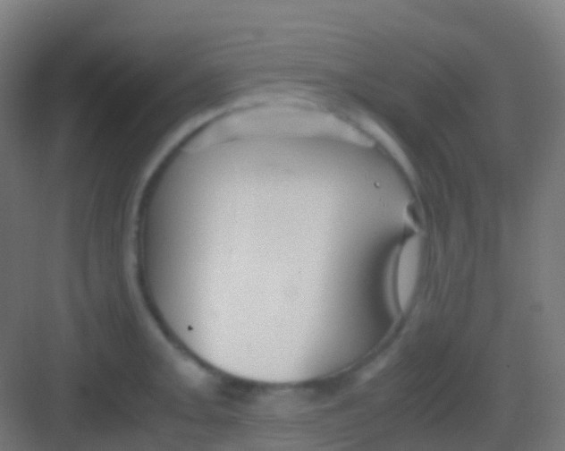 X0000081311093200702082104