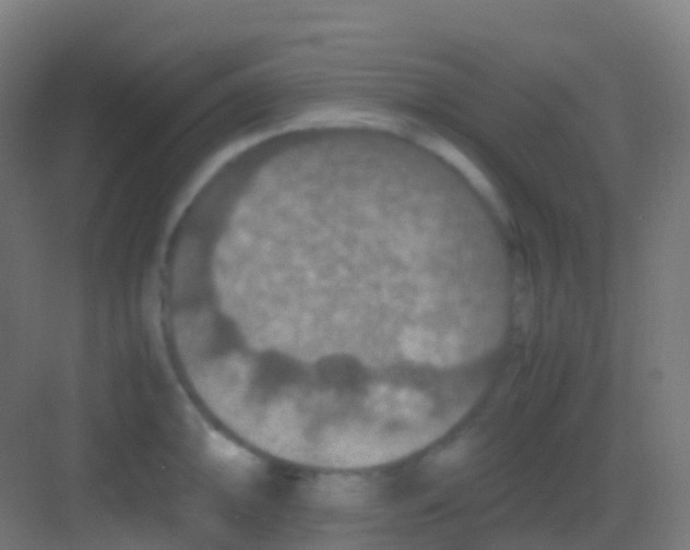 X0000081311094200702082104