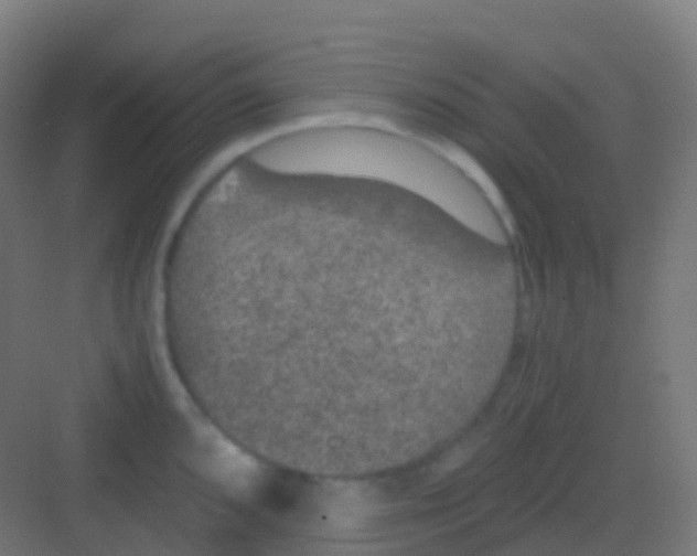 X0000081311096200702082104