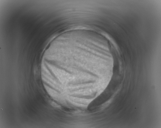 X0000081311097200702082104