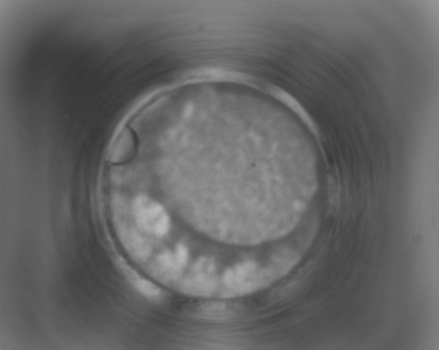 X0000081311098200702082104