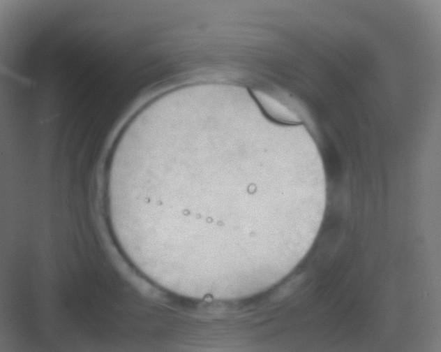 X0000081311099200702082104