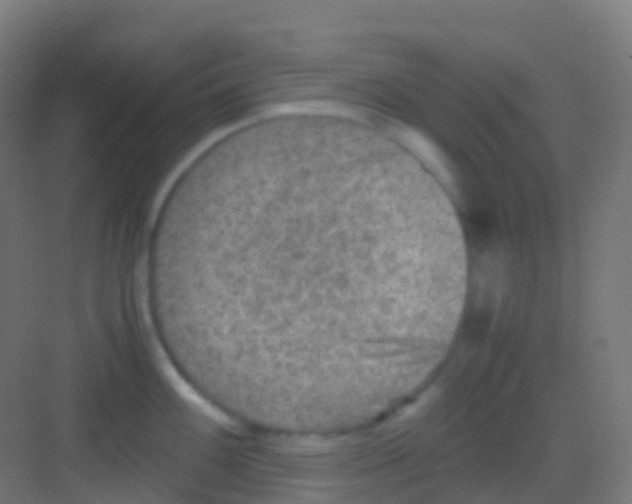 X0000081311100200702082104