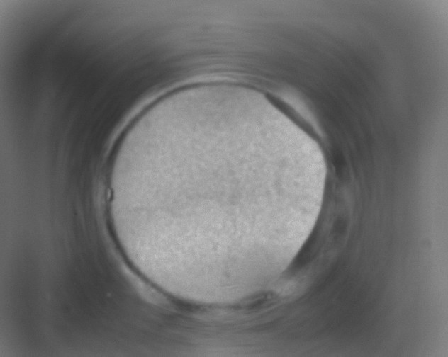 X0000081311101200702082104