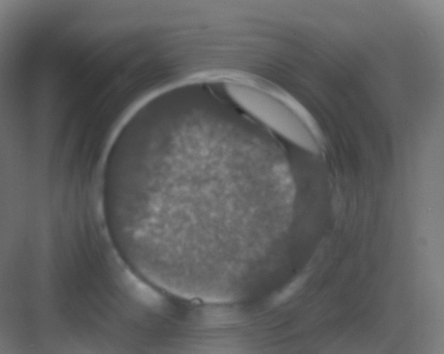 X0000081311102200702082104