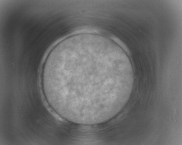 X0000081311104200702082104