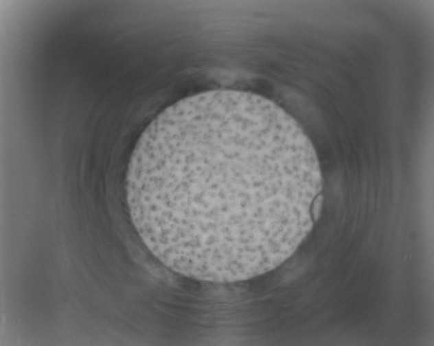 X0000081311105200702082103