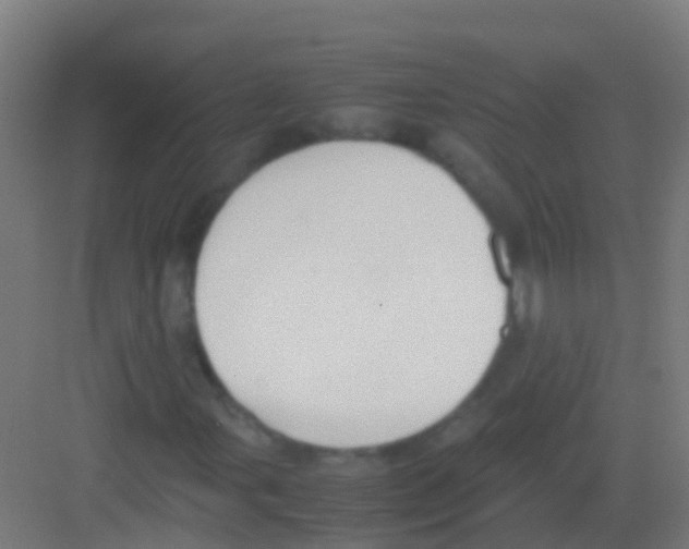 X0000081311107200702082103