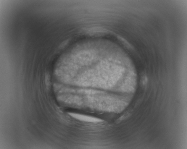 X0000081311108200702082103