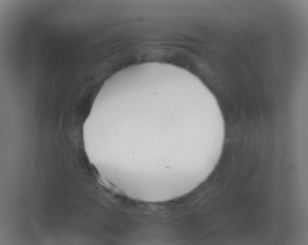 X0000081311109200702082103