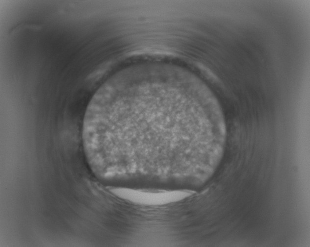 X0000081311110200702082103