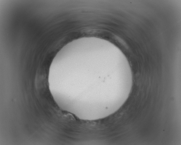 X0000081311111200702082103