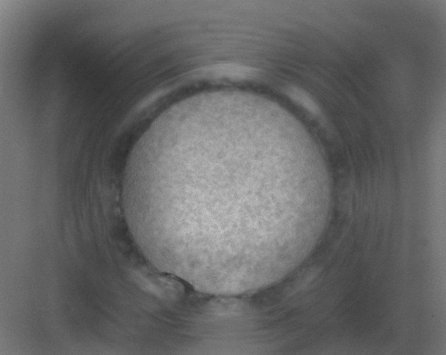 X0000081311112200702082103